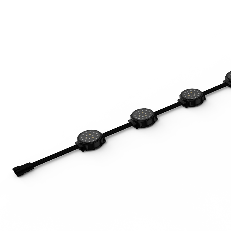 LL-D104